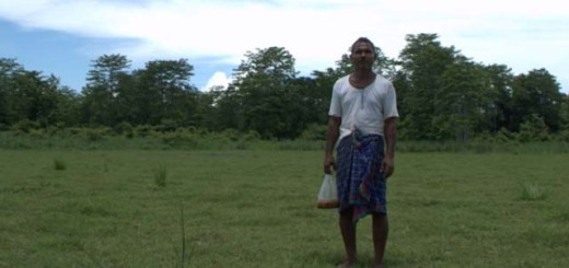 inspitational-story-jadav-molai-payeng-forest-man-india