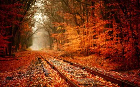 tunnel-of-love-ukraine