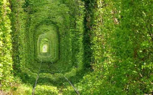 tunnel-of-love-ukraine-beautiful-place