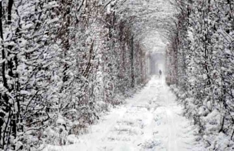 tunnel-of-love-ukraine-beautiful-places