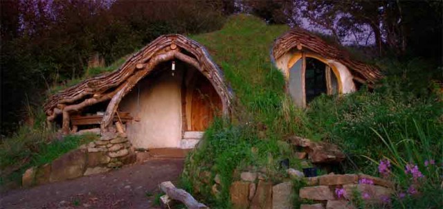 unique-houses-woodland-home