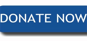 facebook's donate now