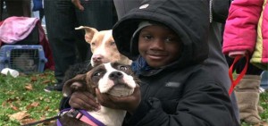 pets for life
