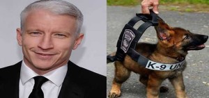 k9 dogs
