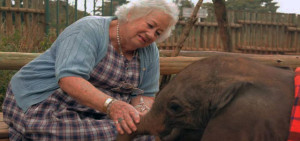 daphne sheldrick