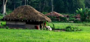 meenangadi panchayat