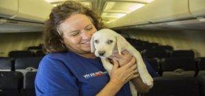 hurricane harvey animal rescue